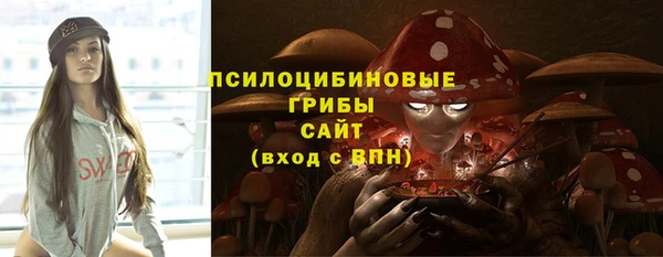 а пвп мука Бугульма