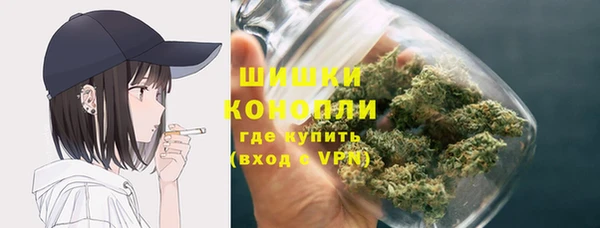 2c-b Бородино