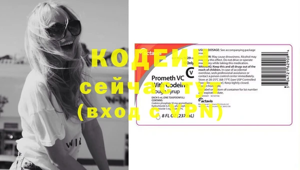 2c-b Бородино