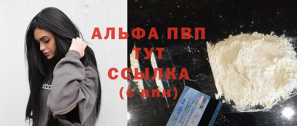 2c-b Бородино