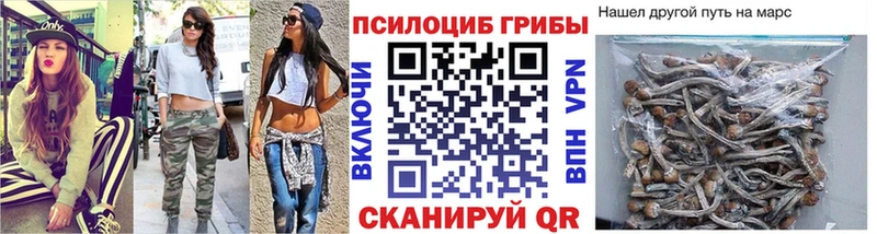 Галлюциногенные грибы Psilocybine cubensis  Карабаново 